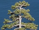 Lac Tahoe (Californie)