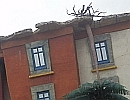 House of Katmandu à Magaluf (Majorque)